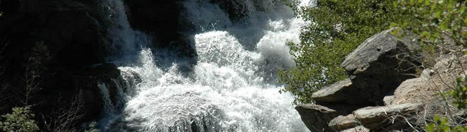 White & Gray, P.C.  Attorneys at Law