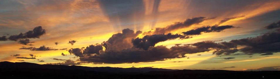 White & Gray, P.C.  Attorneys at Law