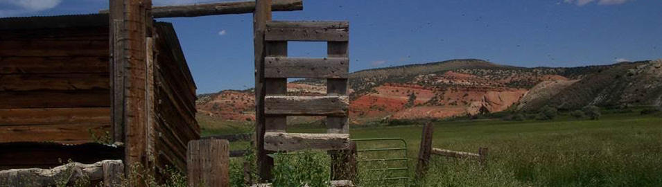 White & Gray, P.C.  Attorneys at Law